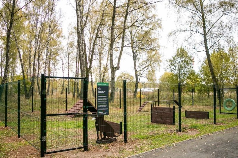 В лесопарке «Гальчино» появилась площадка для выгула собак! 