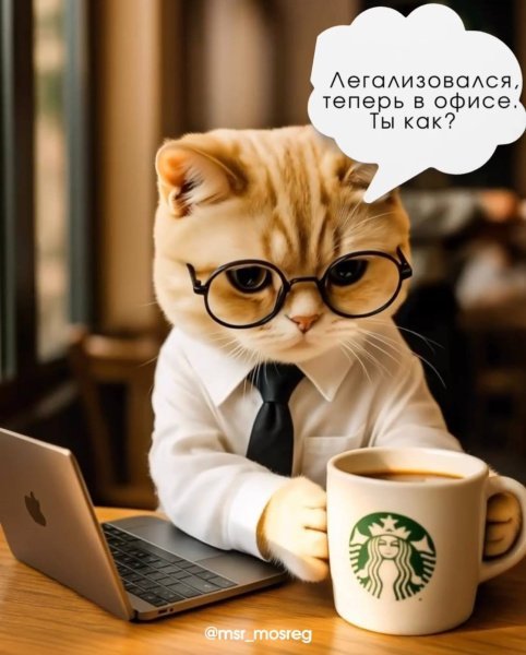 92% серых работников Подмосковья вышли в свет