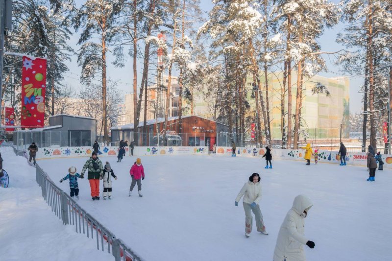 Ветераны домодедовского любительского хоккея в парке "Елочки"