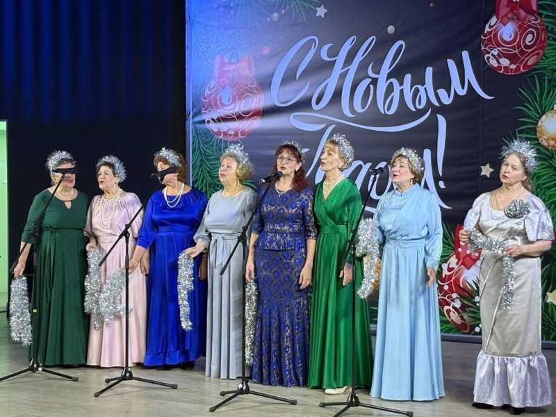 Новогодний карнавал «Активного долголетия» в Домодедово