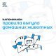 Правила выгула домашних животных!