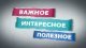 Голосовой помощник МФЦ Подмосковья