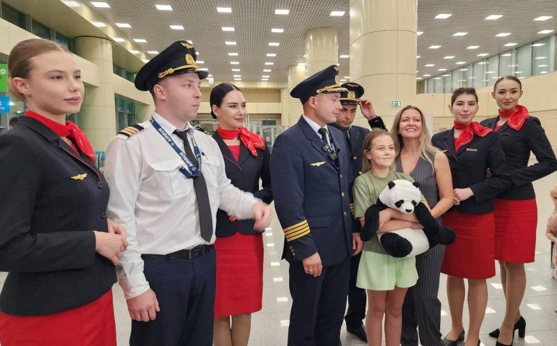 В аэропорту Домодедово девочке вернули потерянного плюшевого медведя