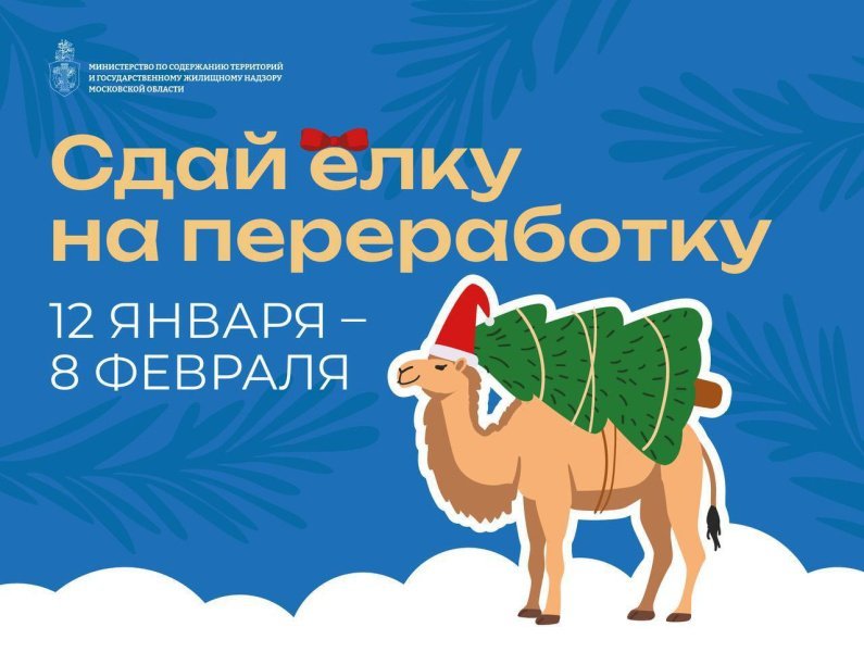 Стартовала акция «Сдай ёлку на переработку»