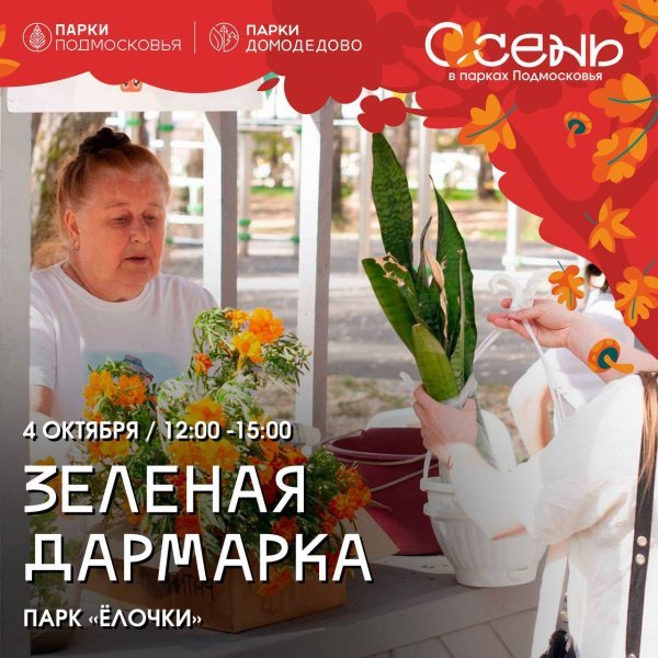 Зелёная дармарка в Домодедово! 
