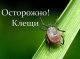 Клещи проснулись в Подмосковье! 