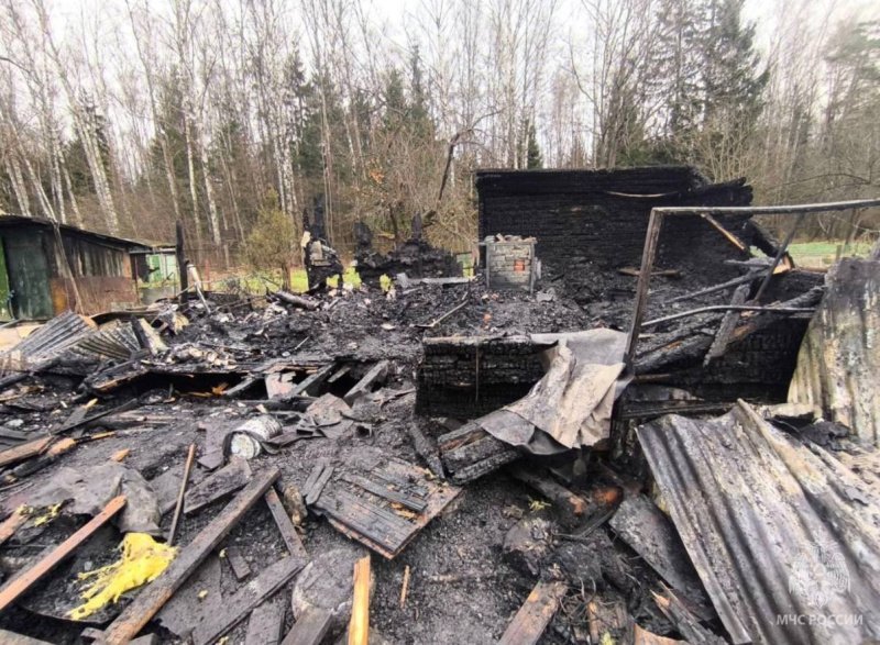 За последнюю неделю в Домодедово зарегистрировано несколько пожаров