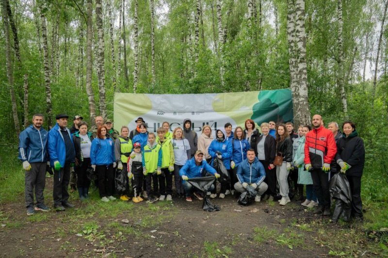 Домодедовские активисты «Единой России» очистили лес от мусора
