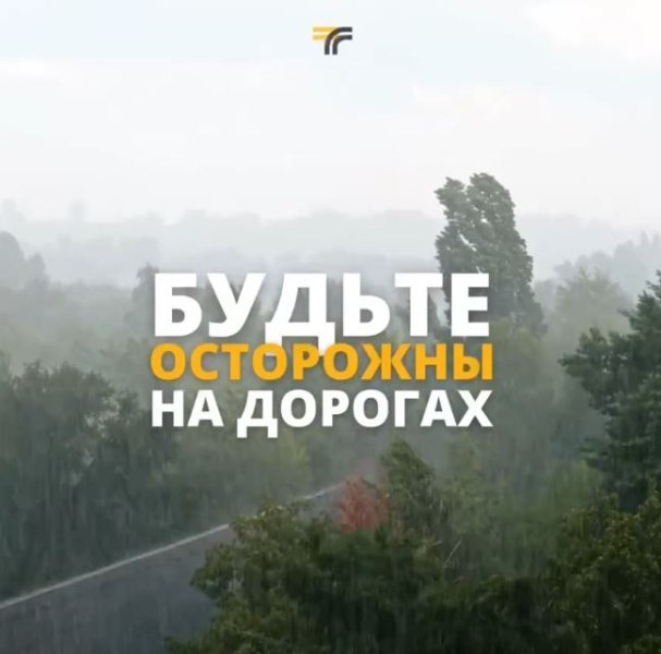 Сегодня опять дождливо. По всей области пройдут ливни с грозами, ветер усилится до 17 м/с