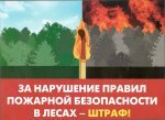 Наказание за нарушение Правил пожарной безопасности в лесах