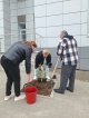 Прошла экологическая акция «Сохраним лес вместе» 