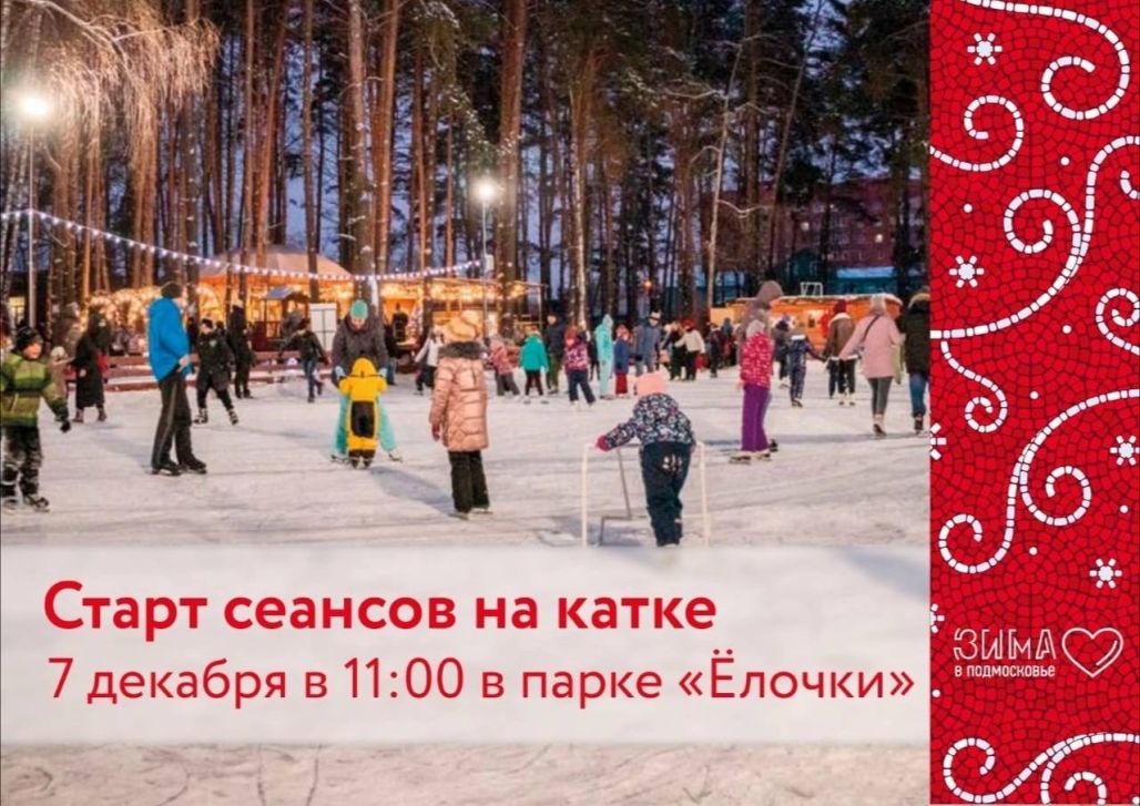 Каток парк елочки