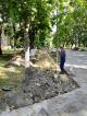 Начались работы по строительству тротуара от автобусной остановки до Краснопутьской СОШ