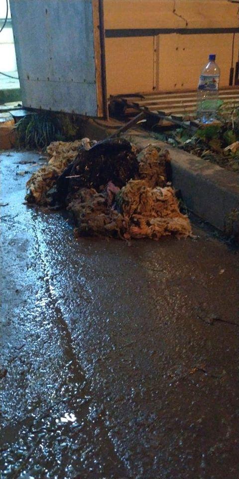 Ливидация последствий аварии на сетях ООО «Павловский водоканал»