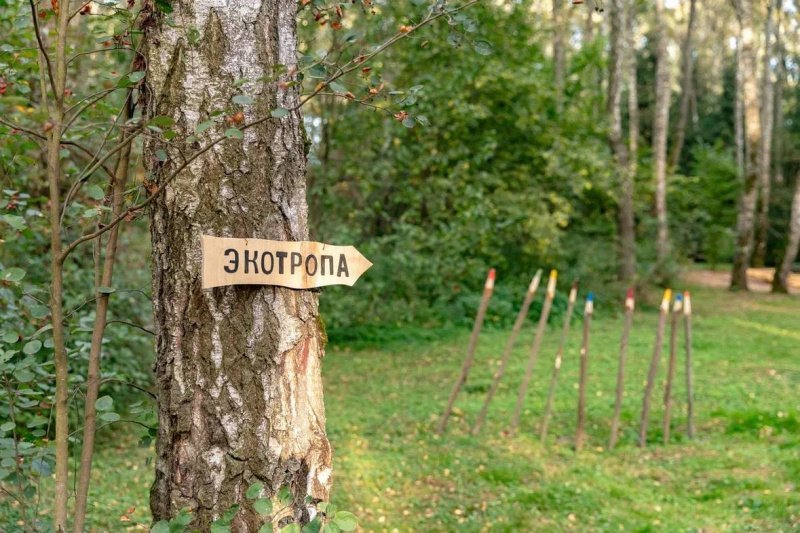 Добро пожаловать на эко-тропу в лесопарке «Гальчино»