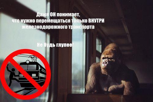 Подведены итоги второго этапа конкурса «Железнодорожная мозаика» Подведены итоги второго этапа конкурса «Железнодорожная мозаика»