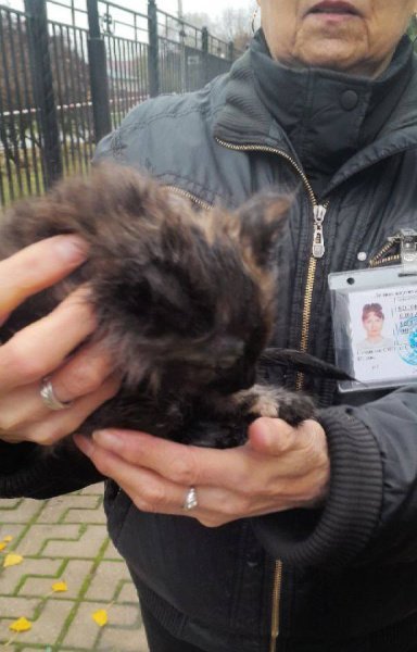 Секрет загадочной коробки возле детского сада в Домодедово раскрыт благодаря камерам «Безопасный регион» 