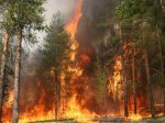 Соблюдайте требования Правил пожарной безопасности в лесах!