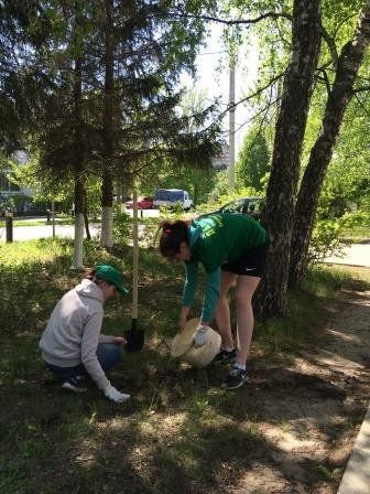 сайт5.jpg сайт5.jpg