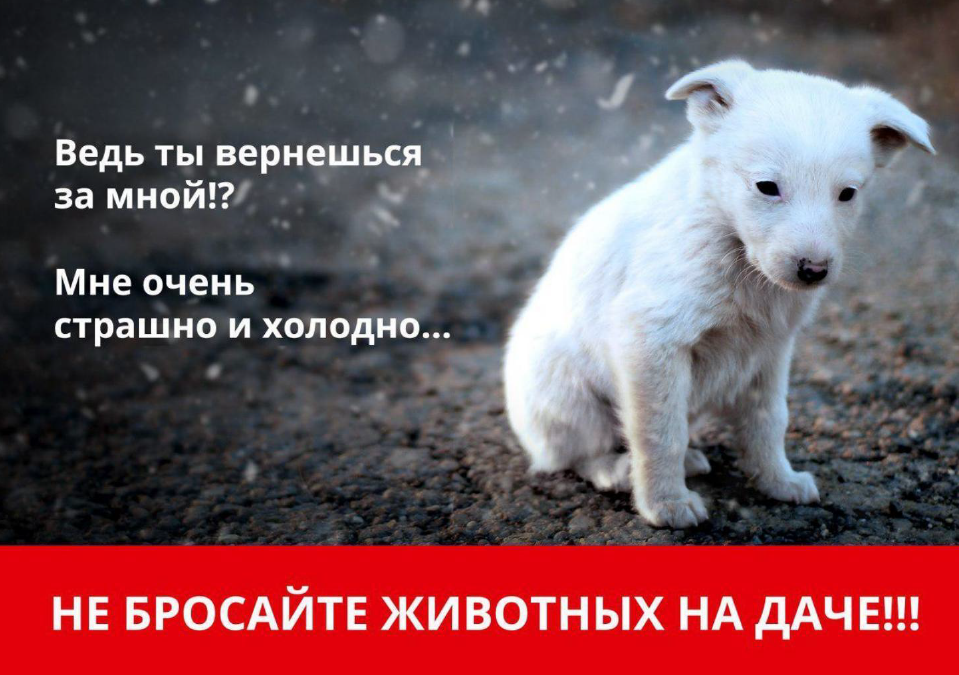 img-1568029724-6412-394-listovka1.png img-1568029724-6412-394-listovka1.png