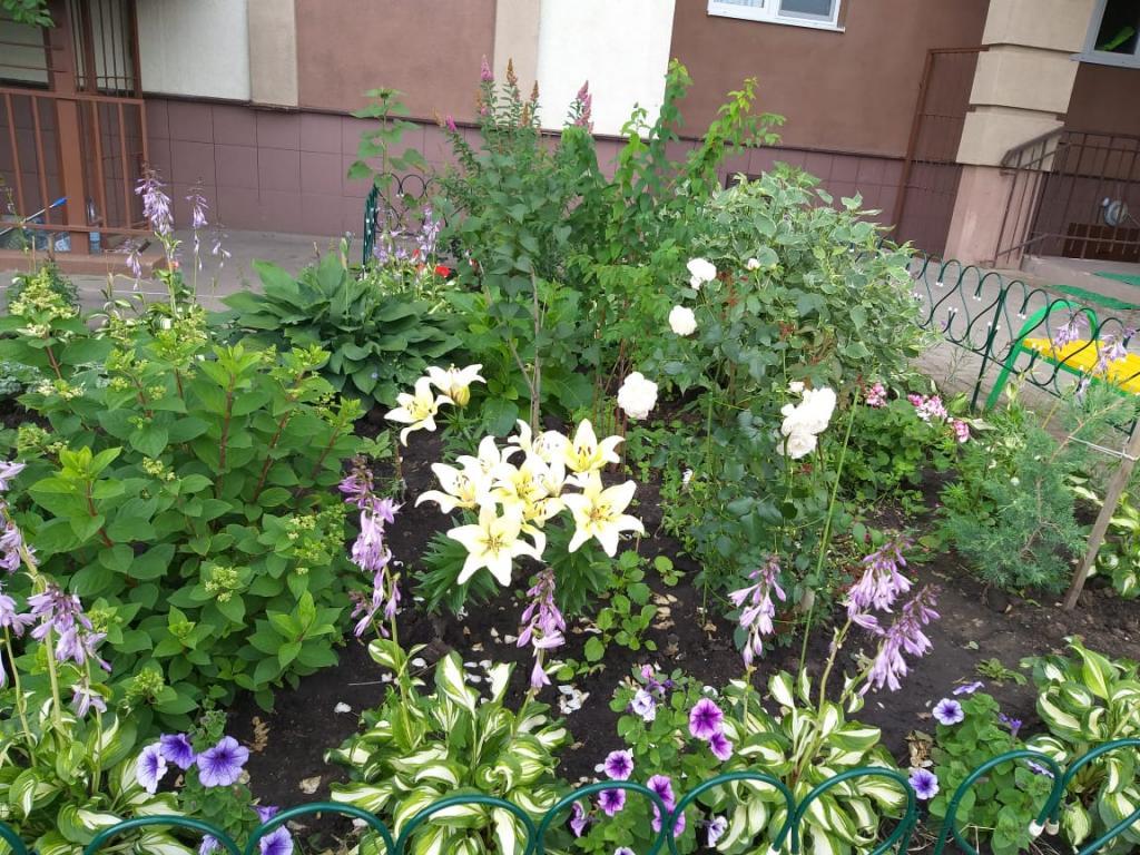 IMG-20190708-WA0010.jpg IMG-20190708-WA0010.jpg