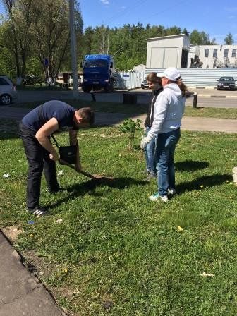 сайт9.jpg сайт9.jpg