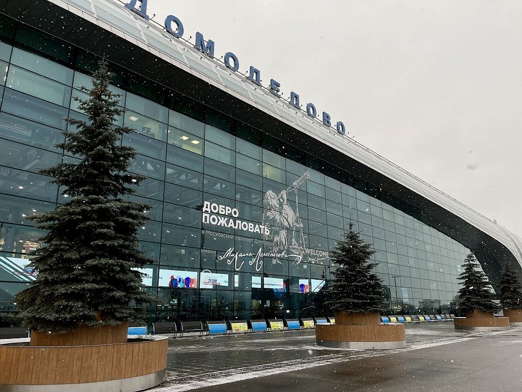 Самое большое количество пассажиров вылетит из аэропорта Домодедово 29  декабря | Городской округ Домодедово