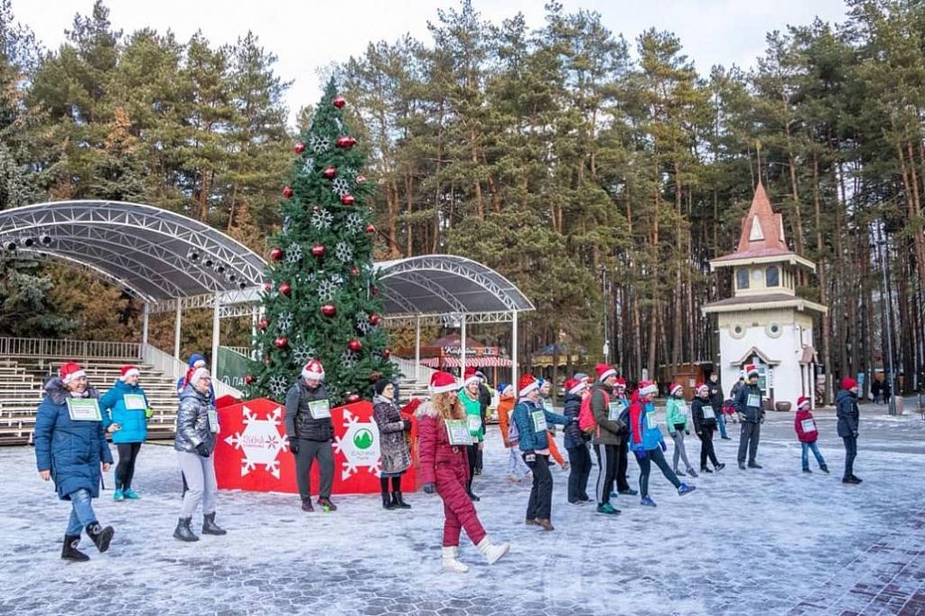 Каток парк елочки