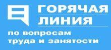 Горячая линия по вопросам труда и занятости